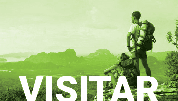 Visitar