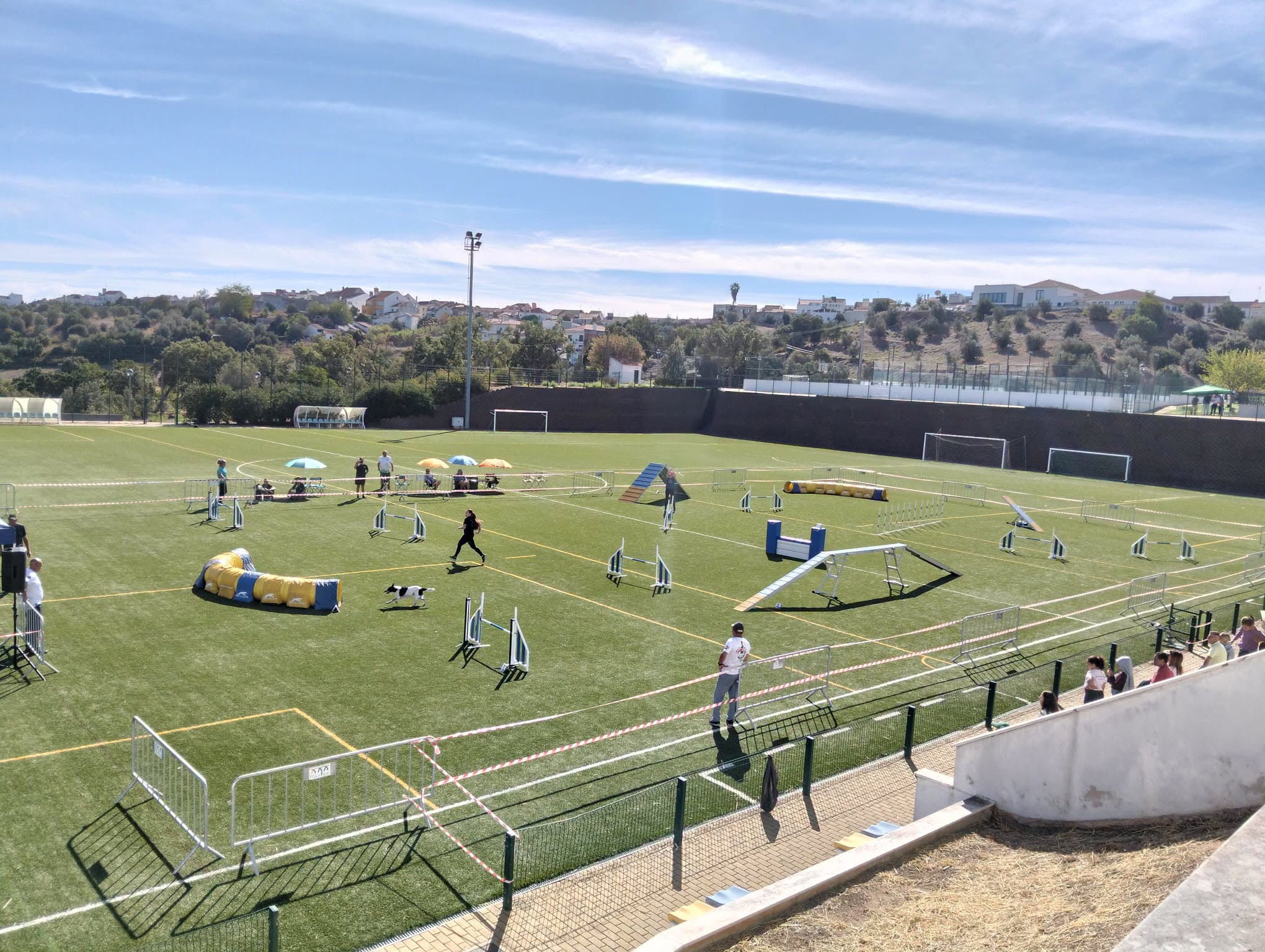 Prova de Agility em Montargil