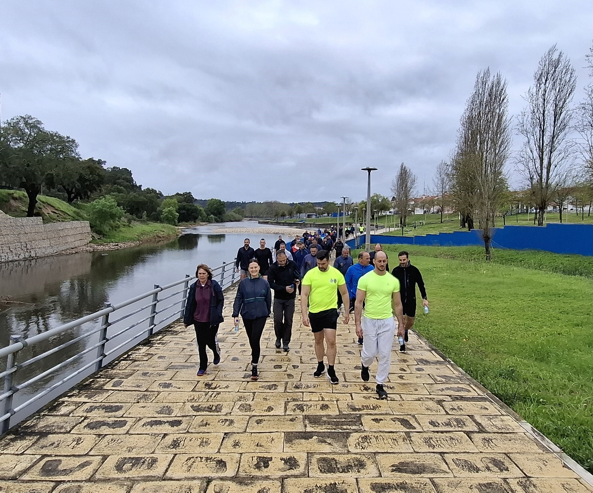 Caminhada pela Floresta