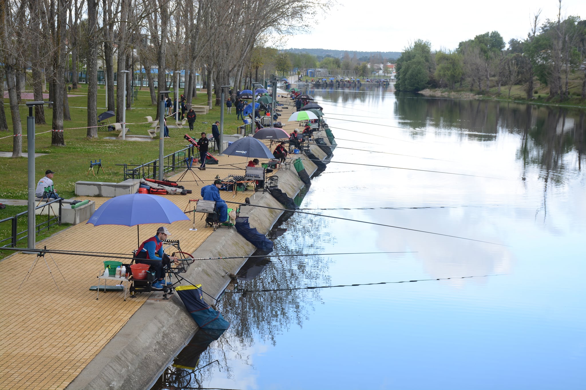 Campeonato Nacional de Pesca em Ponte de Sor