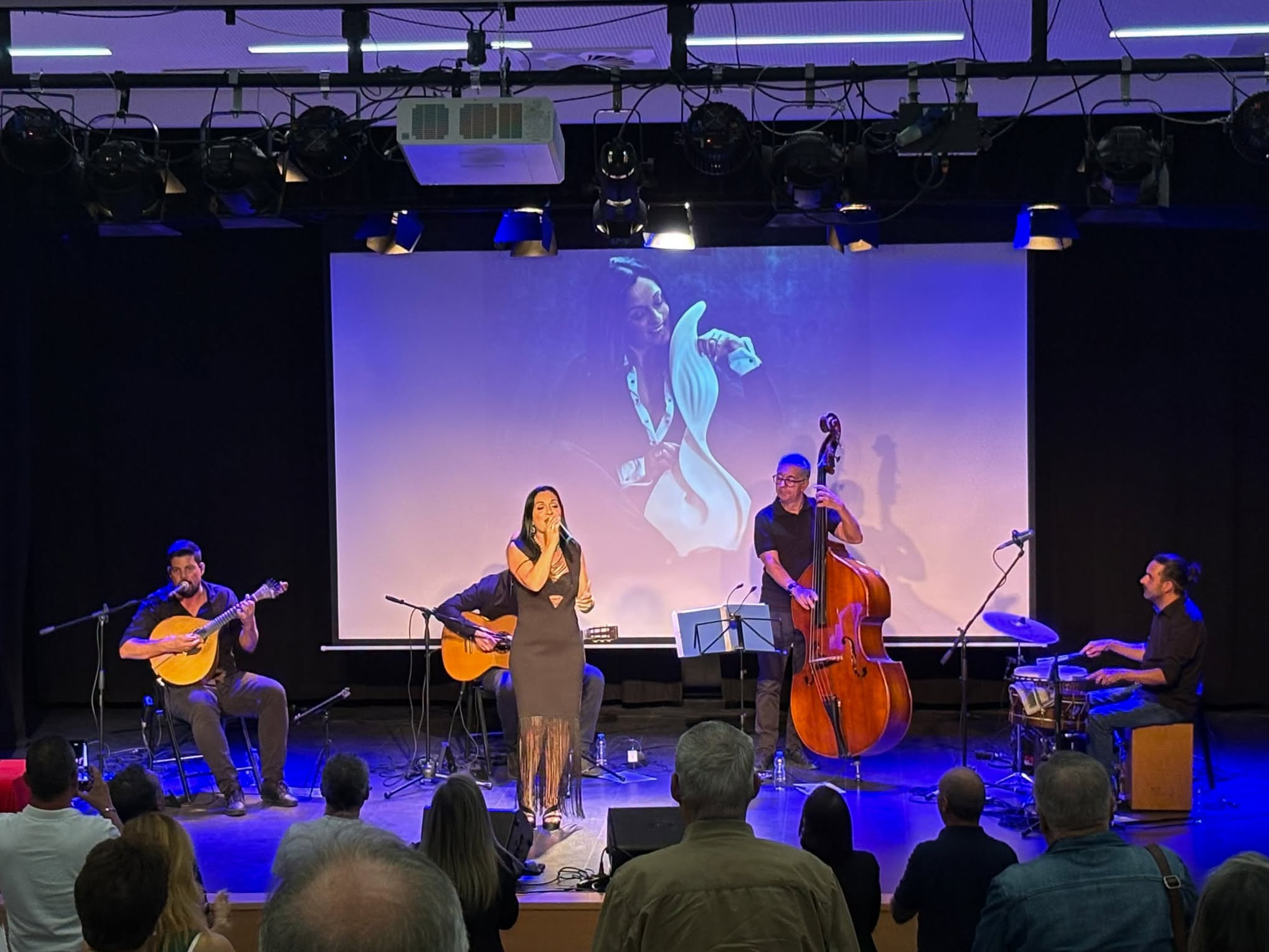 Concerto: Entre a Pedra e a Canção