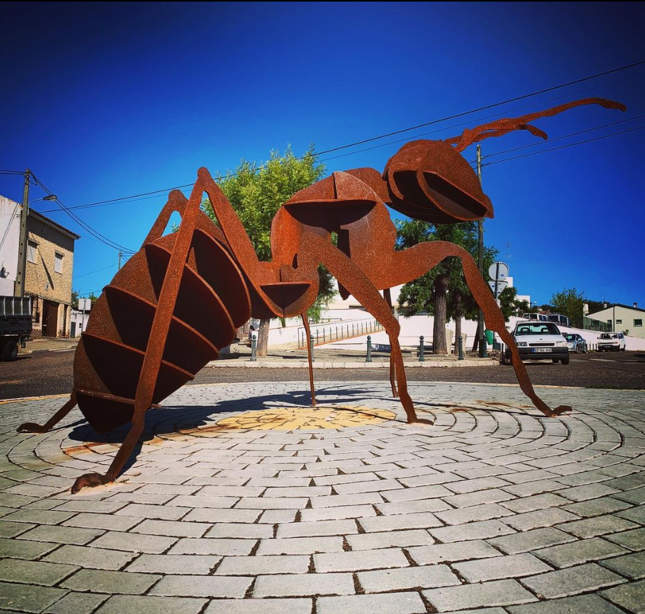 Loteamento Municipal em Ervideira