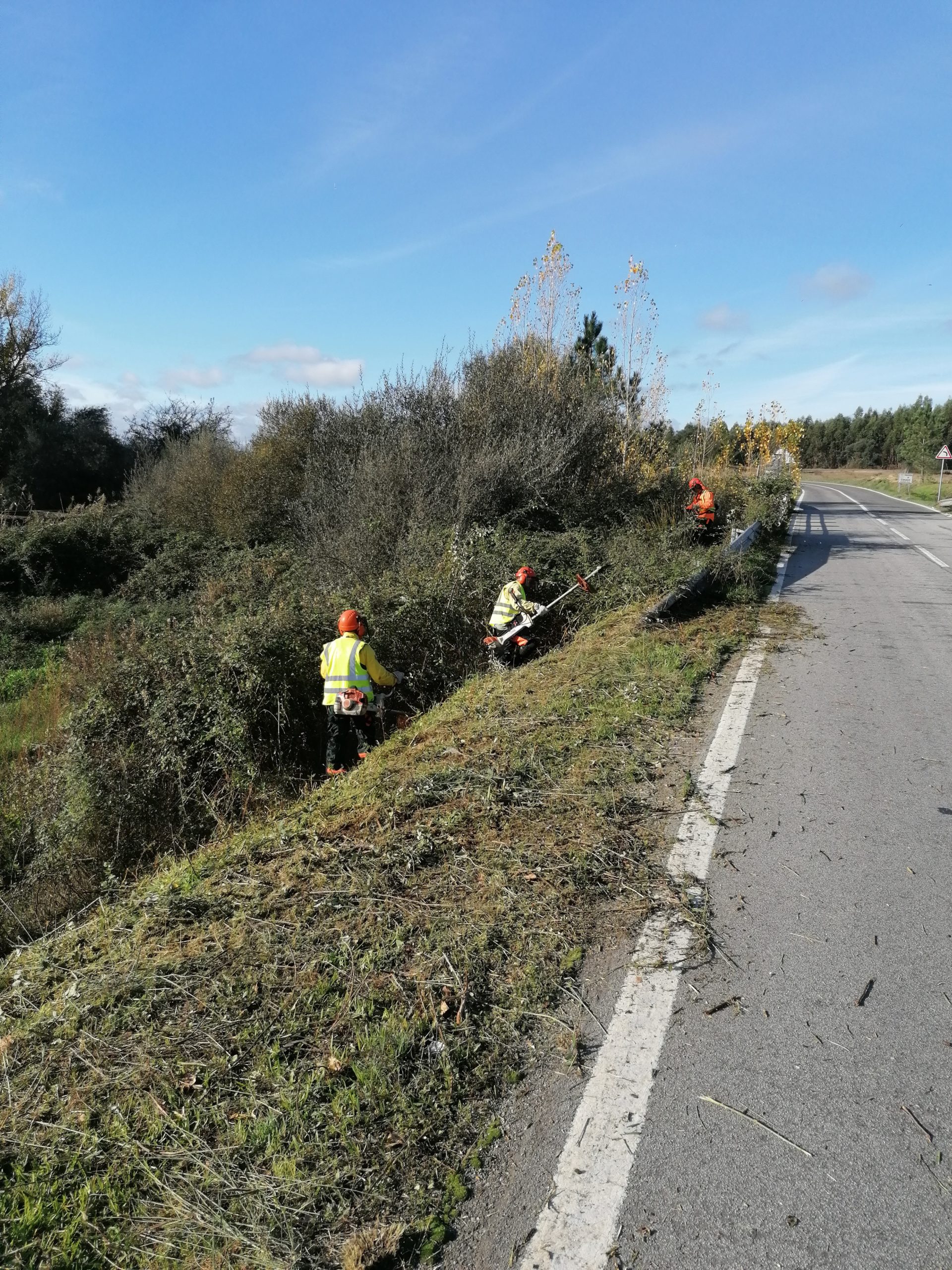 Defesa da floresta contra incêndios