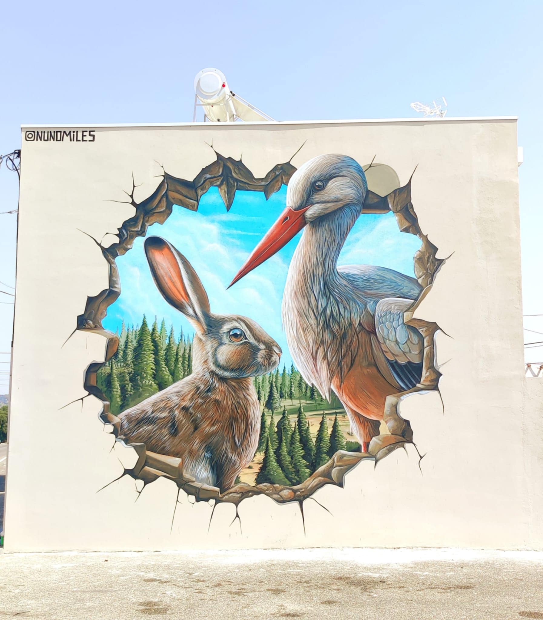 Nova Obra de Arte no Domingão