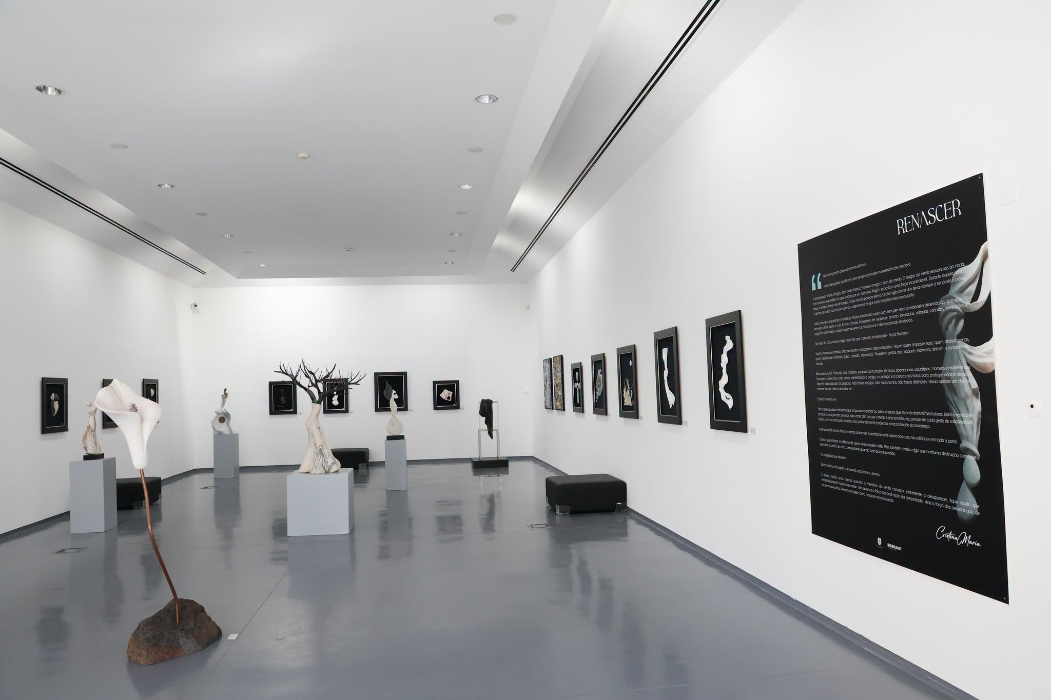 Tarde Cultural no Centro de Artes e Cultura de Ponte de Sor